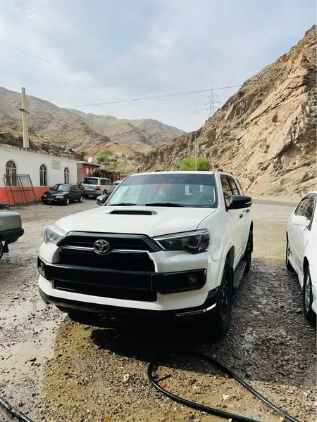 Toyota 4Runner 2010 (1)