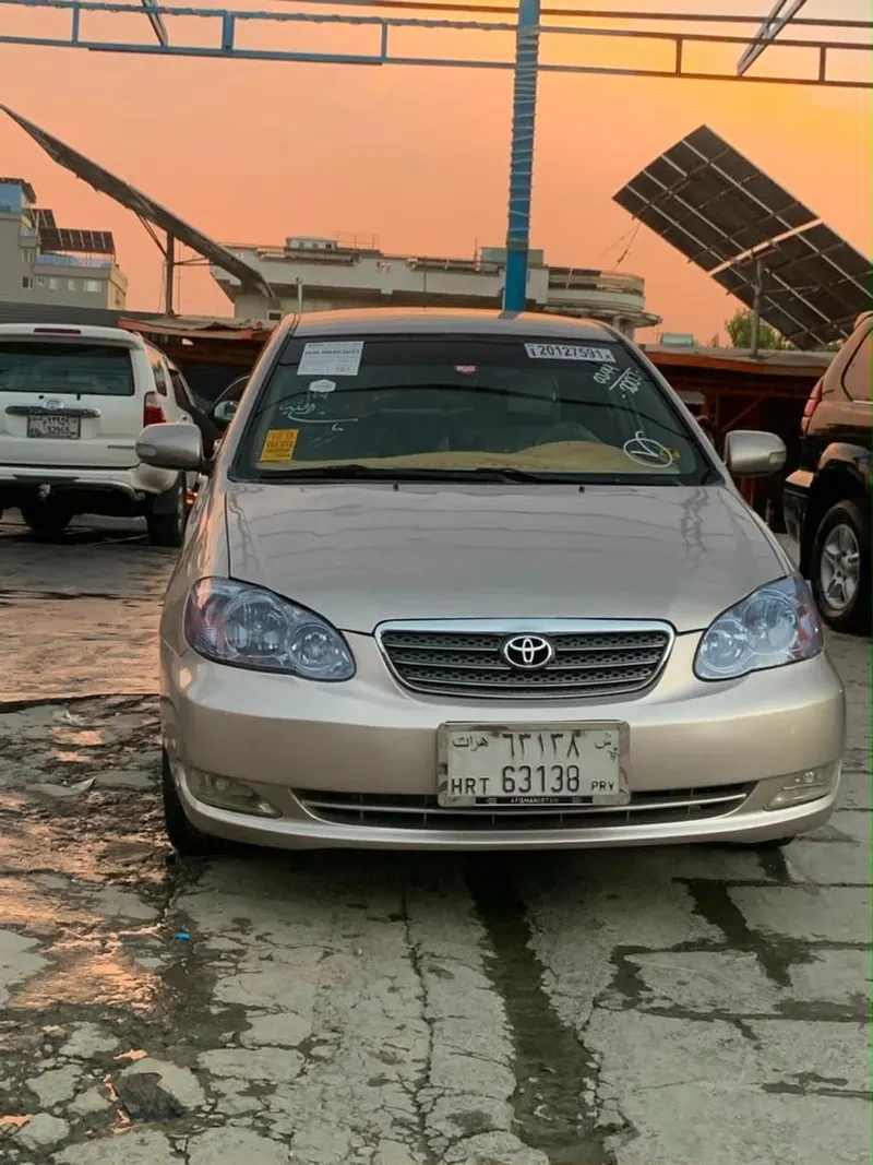 Toyota Corolla (2)