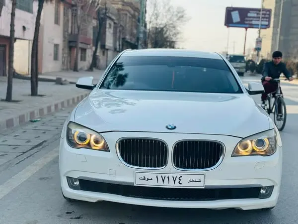 BMW 730Li 2015 (2)