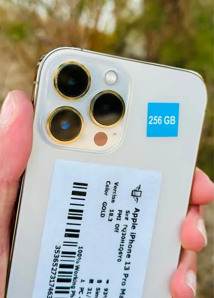 iPhone 13 Pro Max (2)