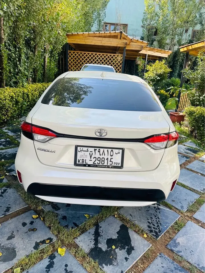 Toyota Corolla LE 2020 (5)