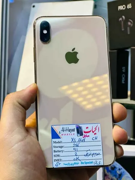iPhone Xs Max (1)