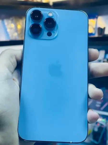iPhone 13 Pro Max (1)