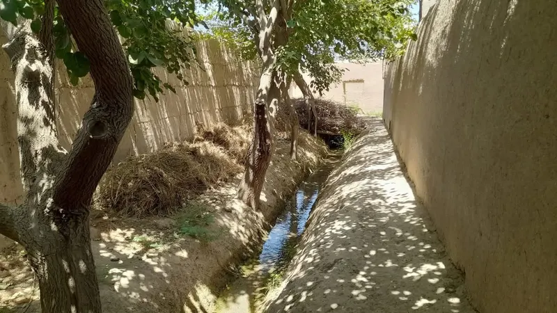 Vineyard garden for sale, 14.5 jerib, Nigari village, Mazar-i-Sharif (1)