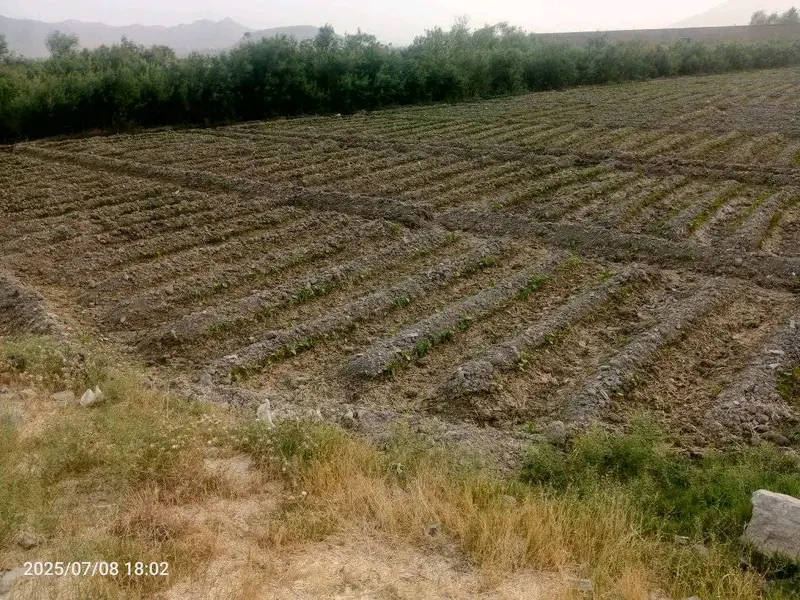 9.5 Biswa Land for Sale in Charasiab, Kabul (1)