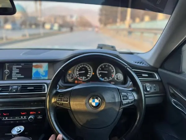BMW 730Li 2015 (4)