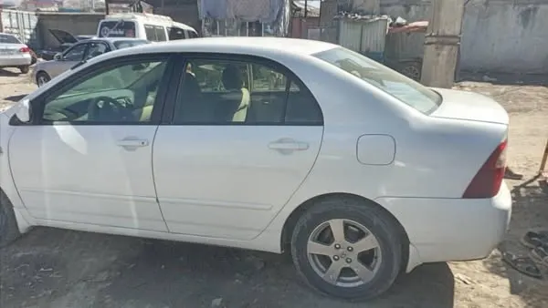 2004 Gulf Model Car (2)