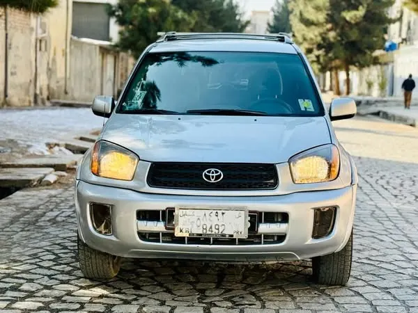 Toyota RAV4 2001 (1)