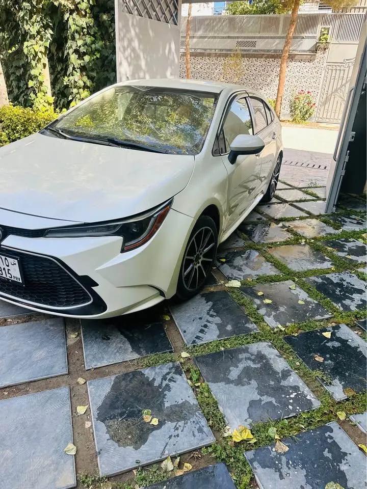 Toyota Corolla LE 2020 (2)
