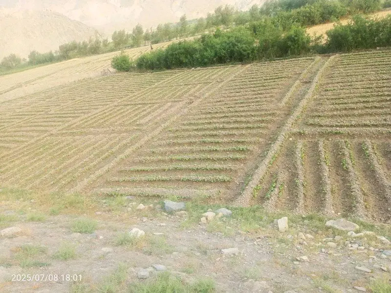 9.5 Biswa Land for Sale in Charasiab, Kabul (2)