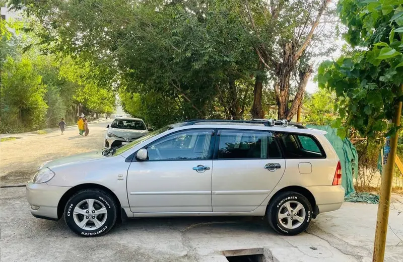Toyota Fielder 2002 (5)