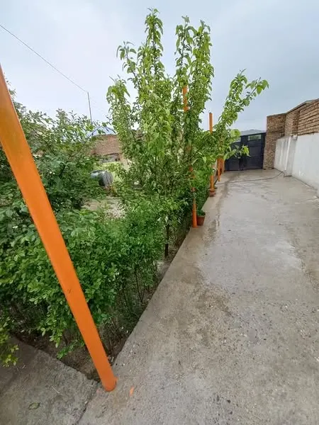 House for sale, 3 rooms, 300 m², behind Badam Bagh, District 17 (2)