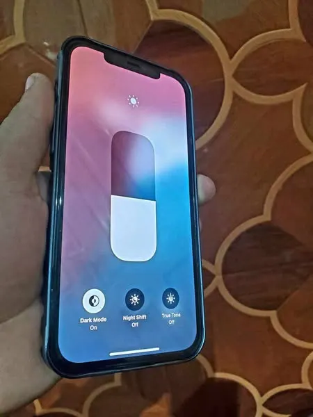 iPhone 12 Pro Max (2)