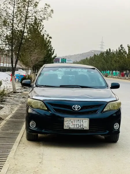 Toyota 2010 (1)