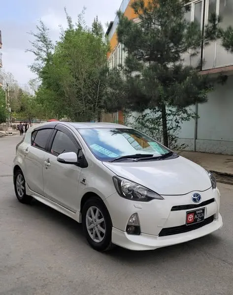 Toyota 2011 (2)