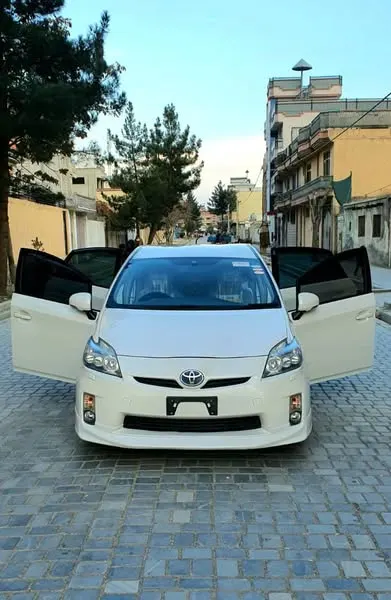 2010 Electric Press (2)