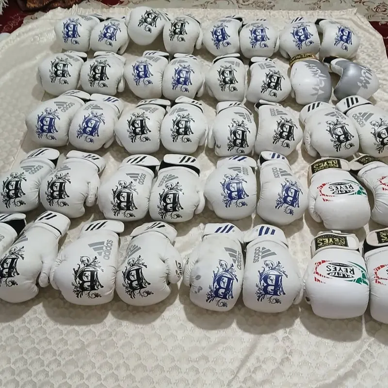 د باکس چرمي دستکشې (7)