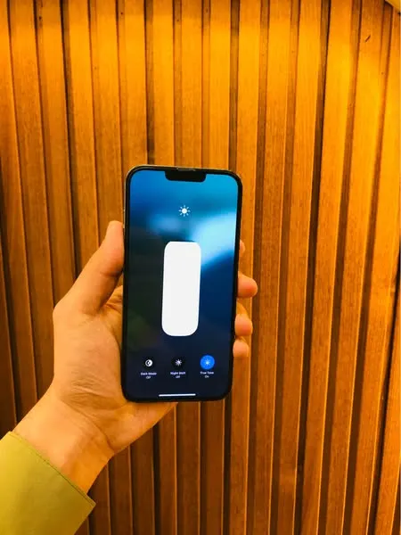 iPhone 13 Pro Max (2)