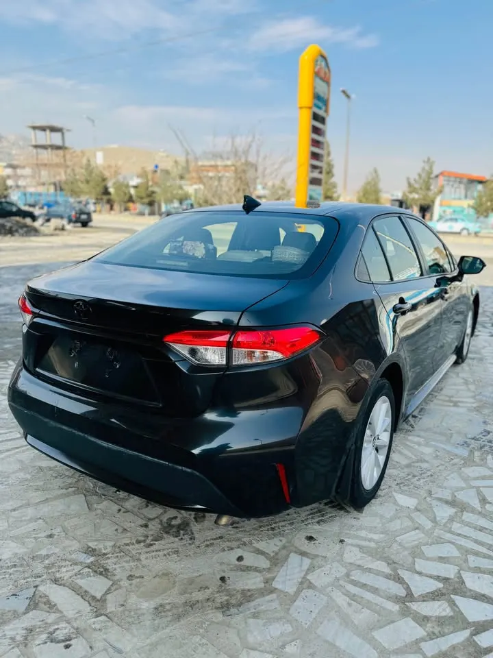Toyota Corolla LE 2020 (3)
