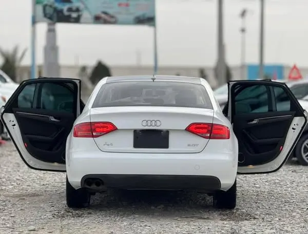 Audi 2010 (3)