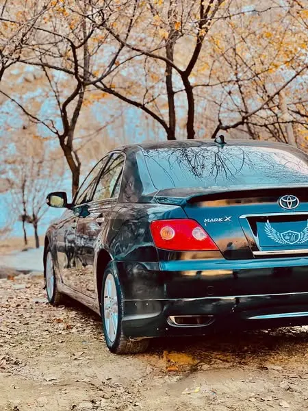 Toyota Mark X 2007 (3)