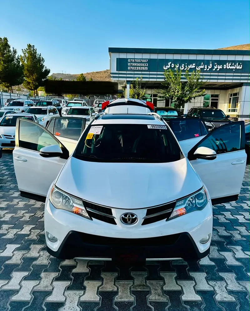 Toyota RAV4 XLE 2013 (1)