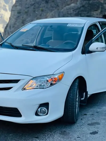Toyota Corolla LE 2010 (1)
