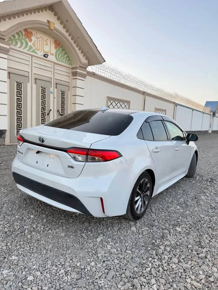 Toyota Corolla 2023 (3)