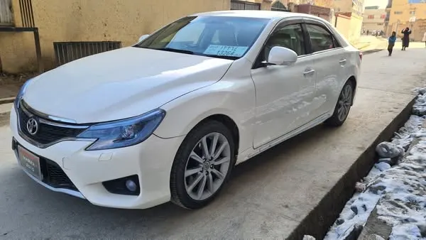 Toyota Mark X 2010 (2)