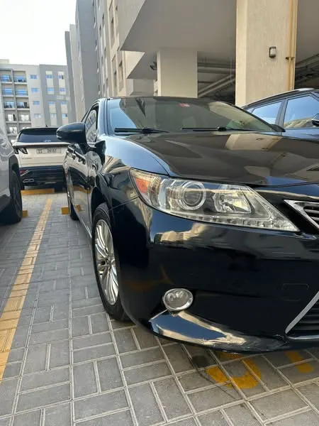 Lexus Sport 2014 (2)