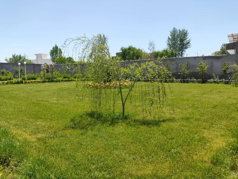 Garden for sale, 7 dong, with villa, pool and fruit trees, Pul-e Pashtun Road (4)