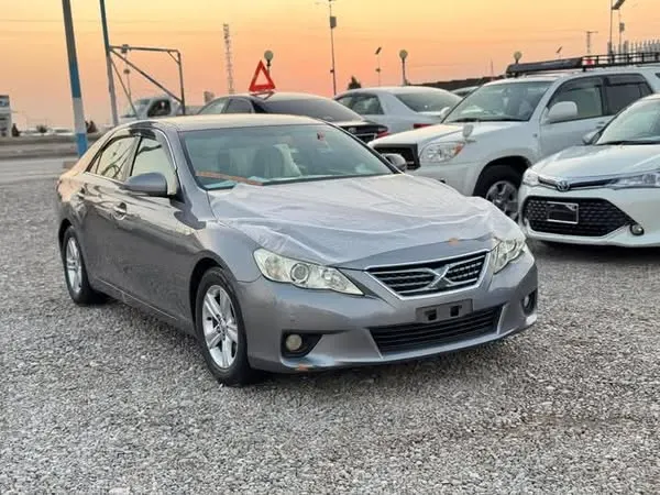 Toyota Mark X 2010 (1)