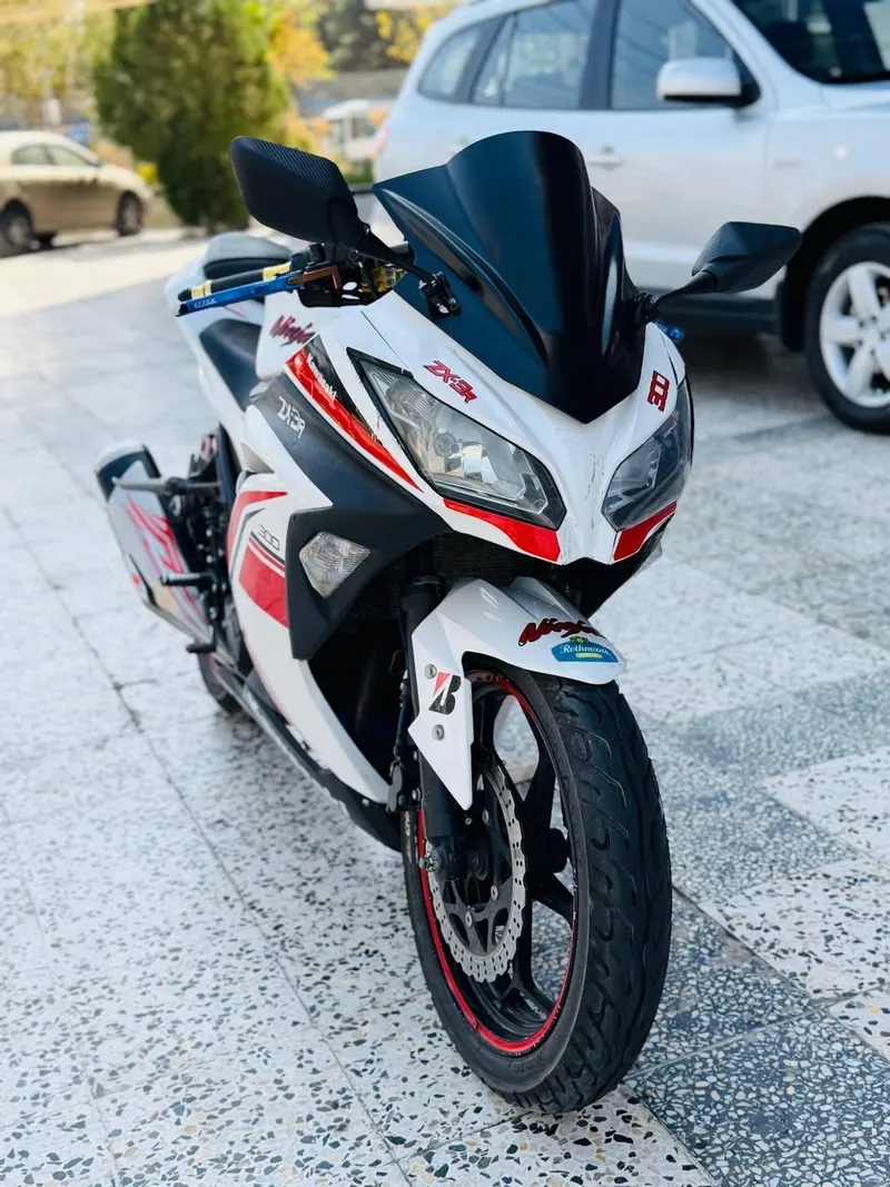Kawasaki Ninja 300 2019 (2)