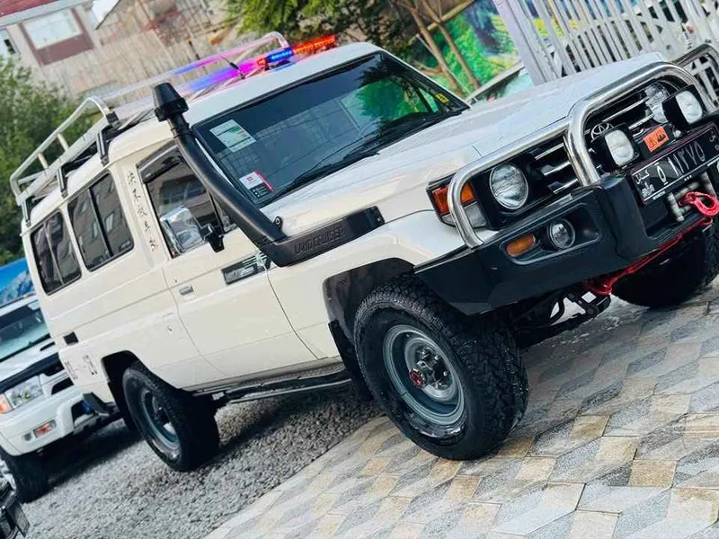 Toyota Land Cruiser 1996 (2)