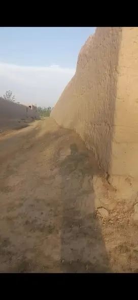 Farm land for sale, 5 jerib, Shah Mazar, Baraki Barak, Logar (4)