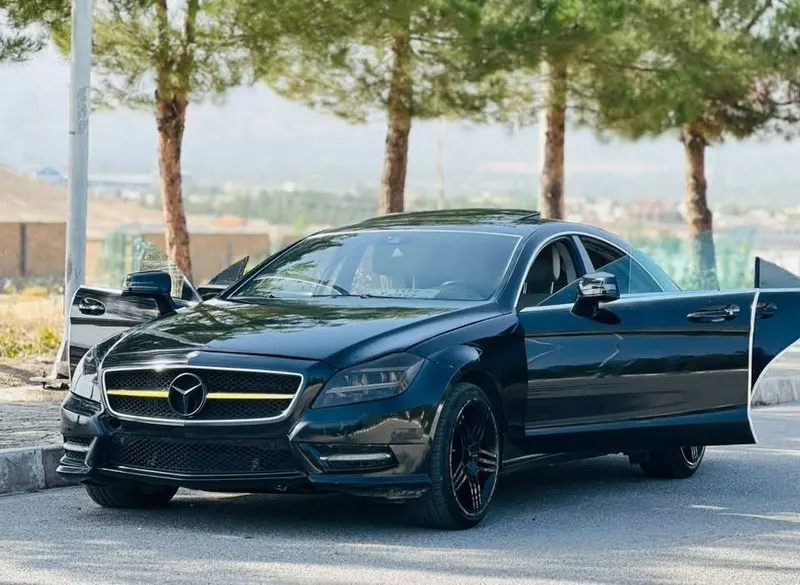 مرسیدس بنز CLS 2014 (3)