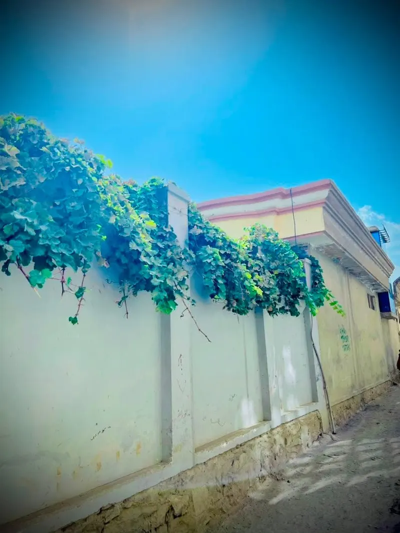 House for sale, 4 rooms, 4 biswa, Butkhak, Kabul (2)