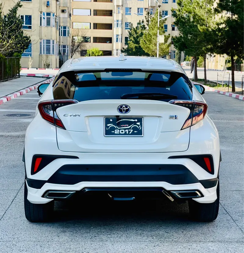 Toyota Hybrid 2017 (3)