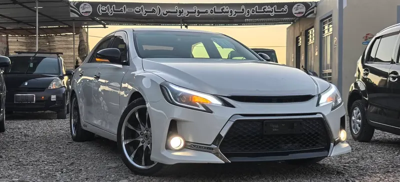 Toyota Mark X 2010 (1)