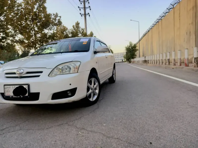 Ronix car 2005 (2)