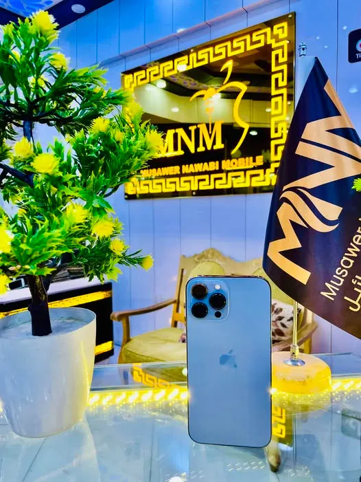 iPhone 13 Pro Max (1)