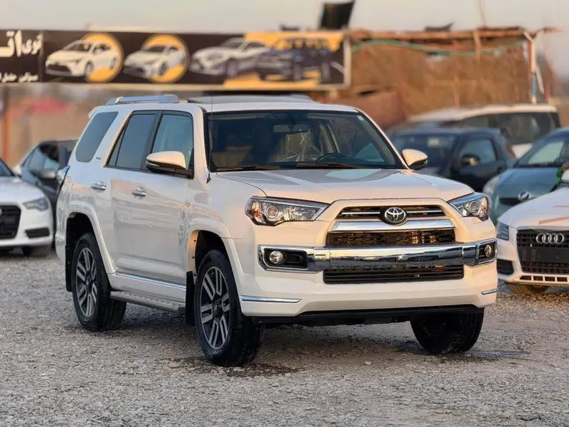 Toyota 4Runner Limited 2010 (1)