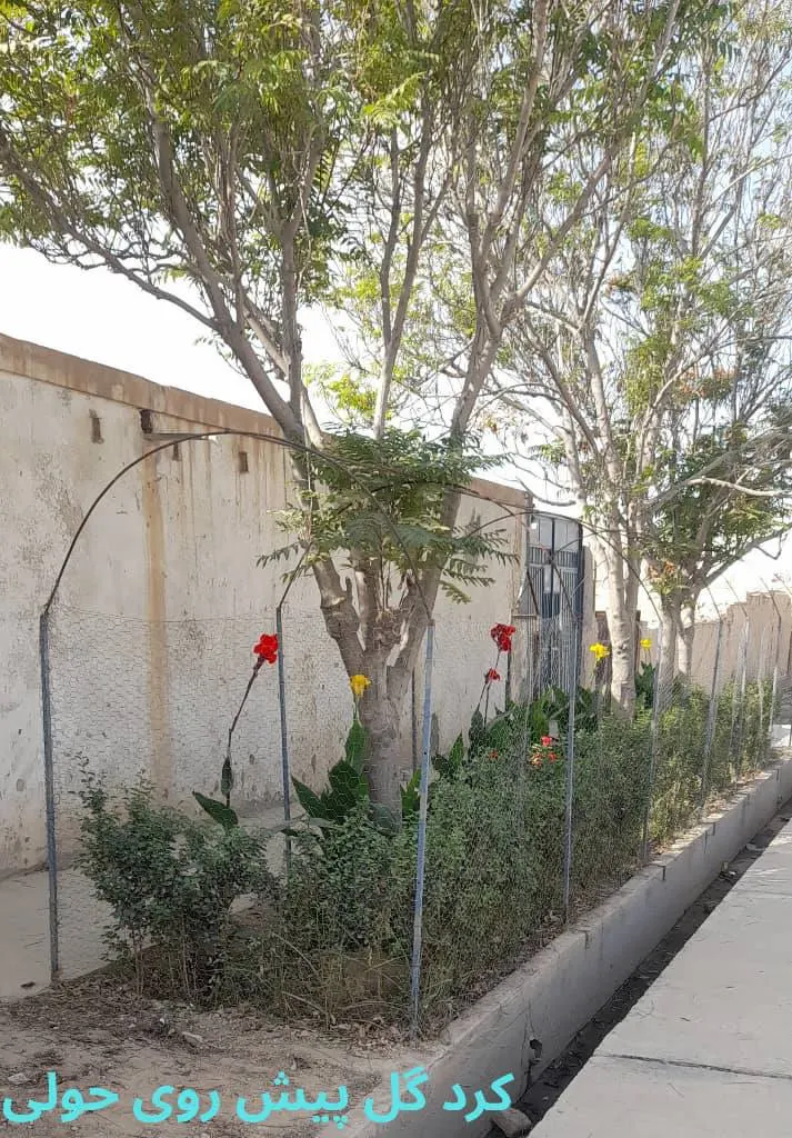 House for sale, 3 rooms, 450 m², Project S, Mazar-i-Sharif (2)