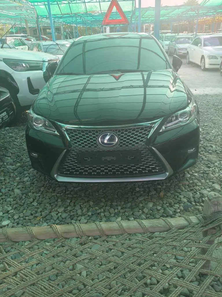 Lexus 2018 (1)