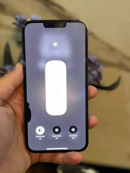 iPhone 13 Pro Max (3)
