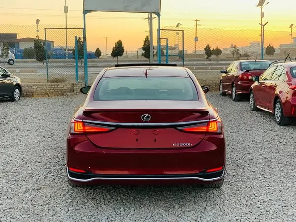 Lexus ES300h 2019 (3)