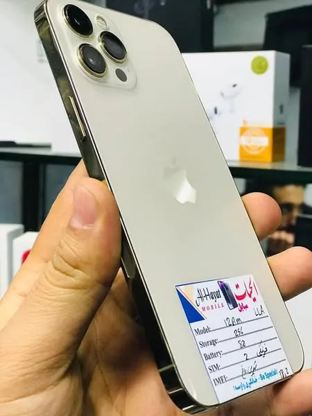 iPhone 12 Pro Max - Dual SIM, 256GB (2)