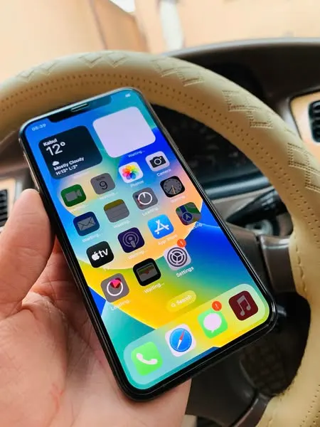 iPhone X (2)