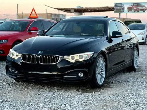 BMW 420i 2015 (1)