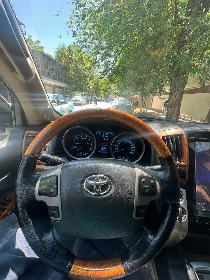Toyota Land Cruiser 2009 (4)